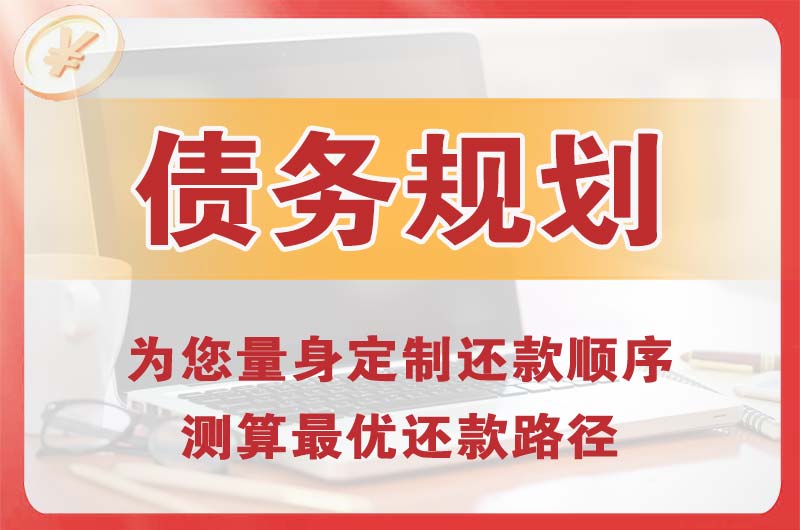 瑞昌债务规划